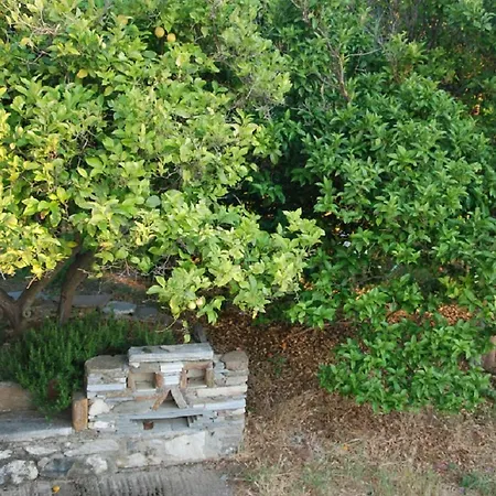 Villa Naxos Vorto Dhamarionas